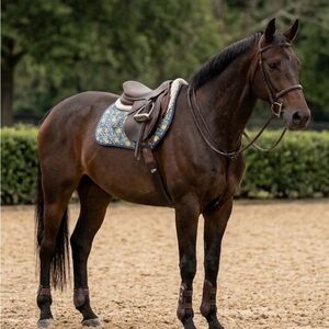 Thin Quilted Saddle Pad Blue Yellow floral Hunter Jumper